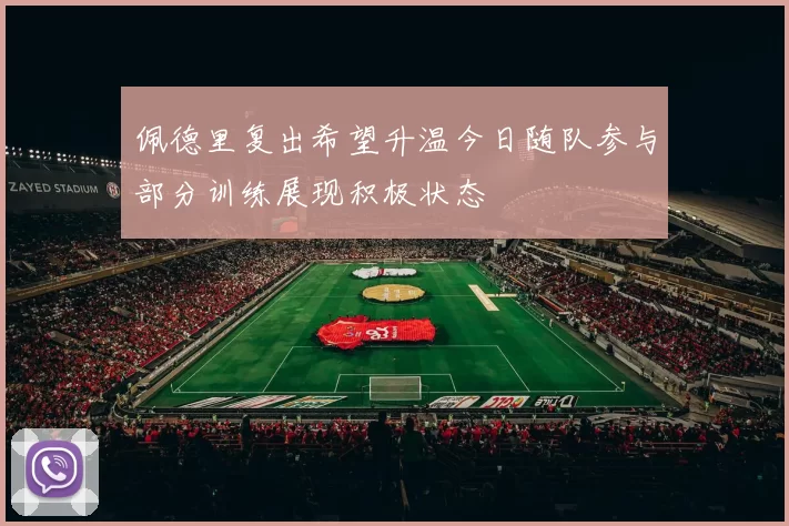 佩德里复出希望升温今日随队参与部分训练展现积极状态