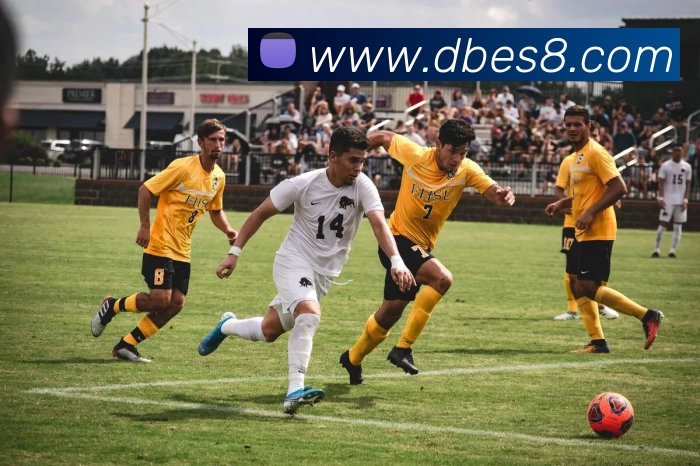 App Interface Preview