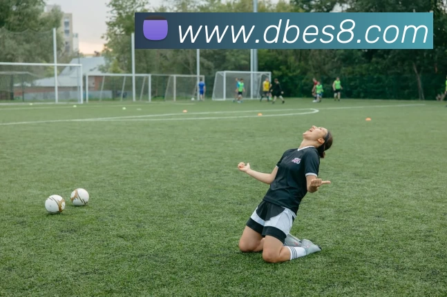 DB电竞官网APP 封面图